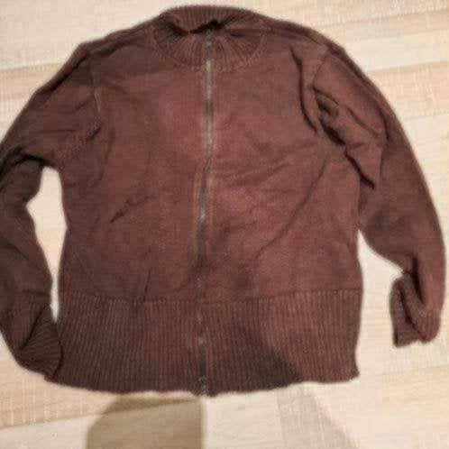Bruin vest 42 c&a, Verzenden, Gedragen, Maat 42/44 (L), Bruin