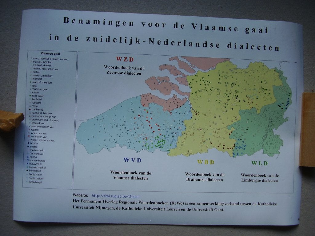 De Vlaamse gaai in de zuidelijke dialecten, Boeken, Verzenden, Zo goed als nieuw