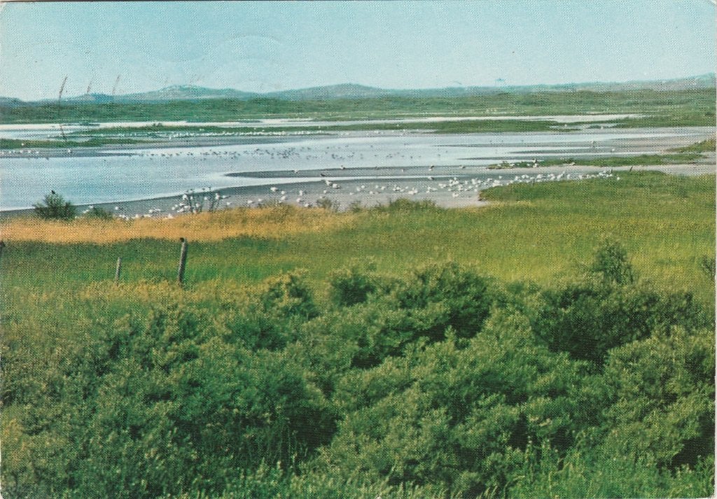 TERSCHELLING Duinmeer, Verzenden, 1960 tot 1980, Gelopen, Waddeneilanden