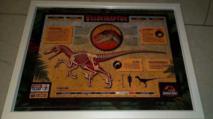 Jurassic park, Verzamelen, Ophalen of Verzenden