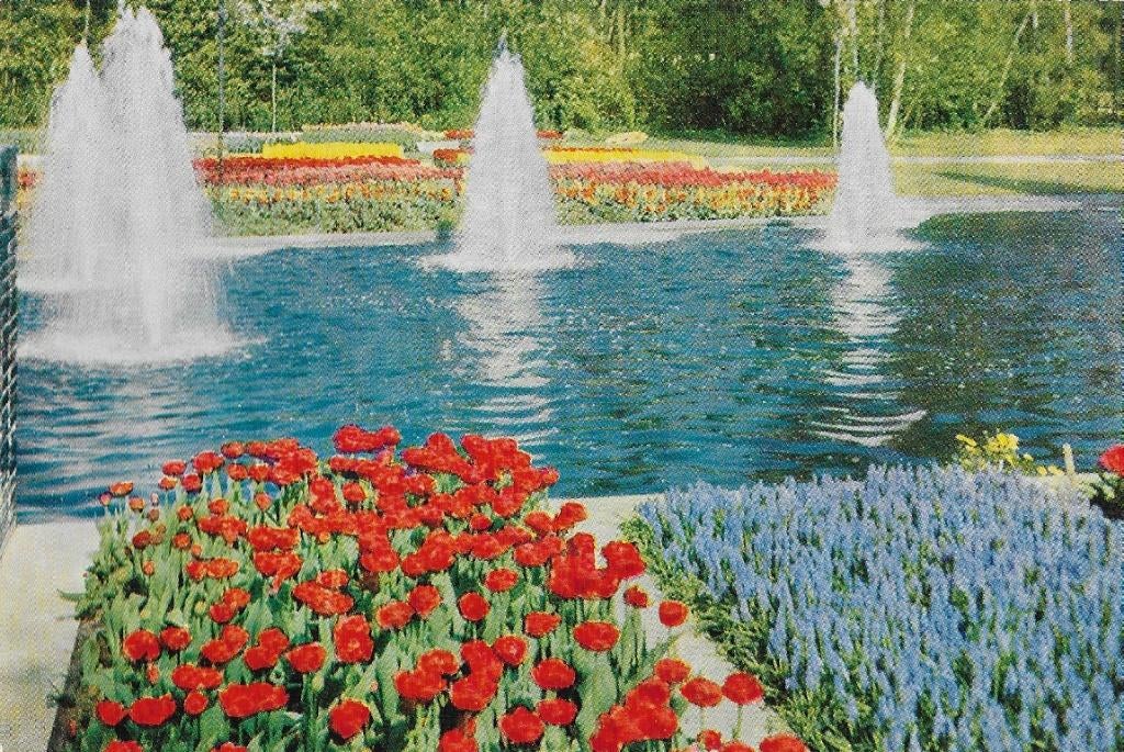 Lisse keukenhof Gelopen ansichtkaart ( a496 ), Ophalen of Verzenden, 1980 tot heden, Gelopen