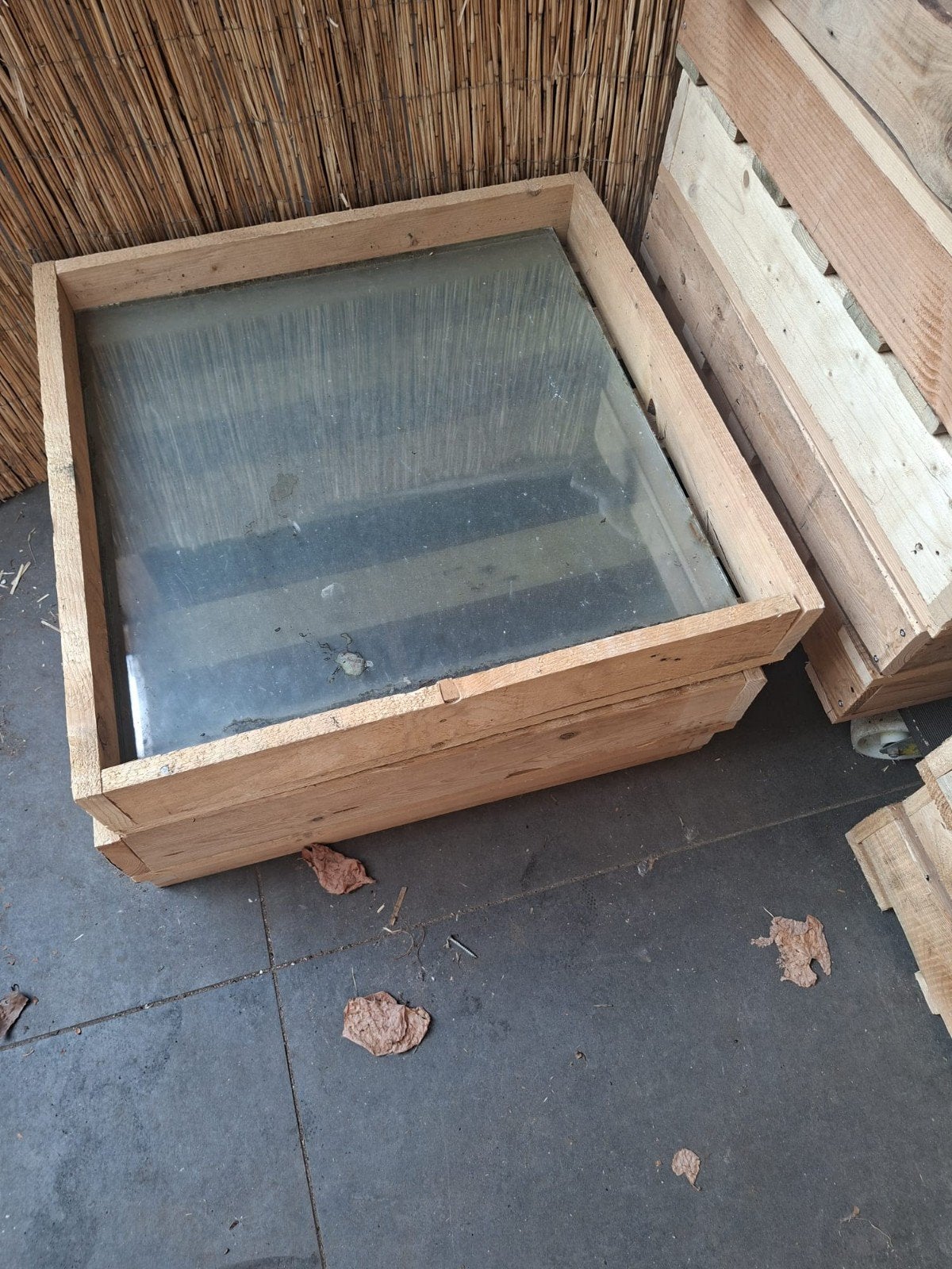 Kasglas te koop – Tuinkas glas 61x61 46x61 of anders, Ophalen, Minder dan 80 cm, Gevelraam of Ruit, Minder dan 80 cm