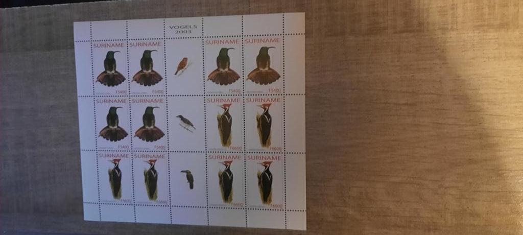 Suriname, vogels, volledig vel, Ophalen of Verzenden, Postfris