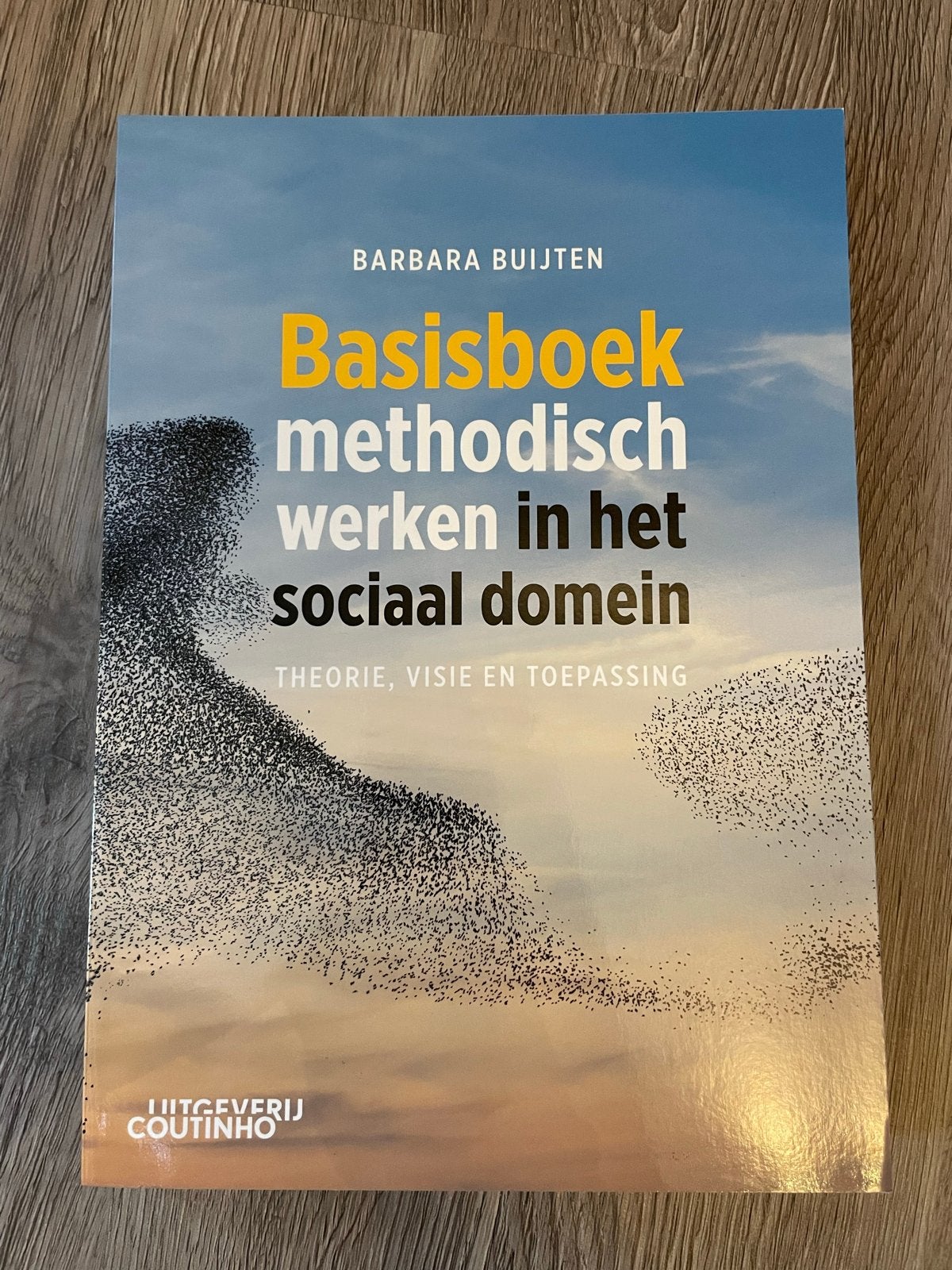 Basisboek methodisch werken in het sociaal domein, Ophalen of Verzenden, Gamma, Zo goed als nieuw, HBO