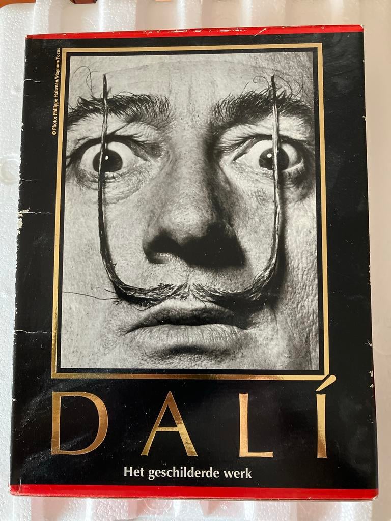 Dali: Het geschilderde werk - Deel I en II, Boeken, Kunst en Cultuur | Beeldend, Ophalen of Verzenden, Gelezen, Schilder- en Tekenkunst