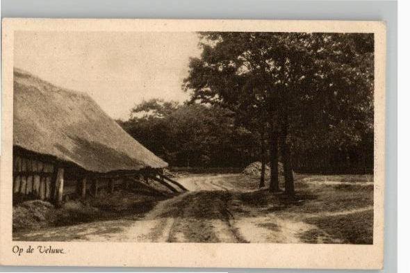 3 mooie kaarten mbt de Veluwe, Ophalen of Verzenden, 1920 tot 1940, Gelderland