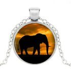ketting met hanger olifant, Sieraden, Tassen en Uiterlijk, Kettingen, Overige kleuren, Nieuw, Ophalen of Verzenden, Overige materialen