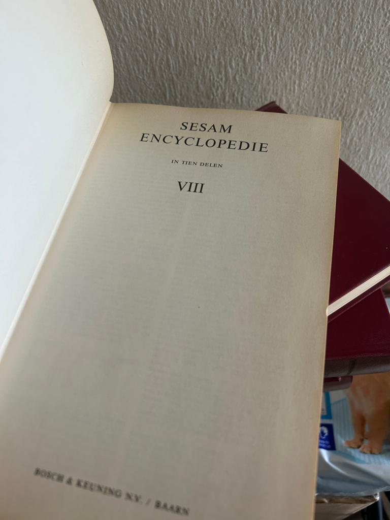 Sesam encyclopedie, Boeken, Encyclopedieën, Ophalen of Verzenden, Gelezen, Algemeen, Complete serie