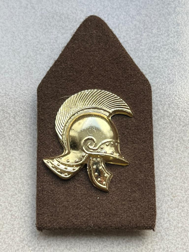 Vintage goudkleurig mineurshelm Embleem., Verzamelen, Ophalen of Verzenden, Landmacht, Nederland, Embleem of Badge