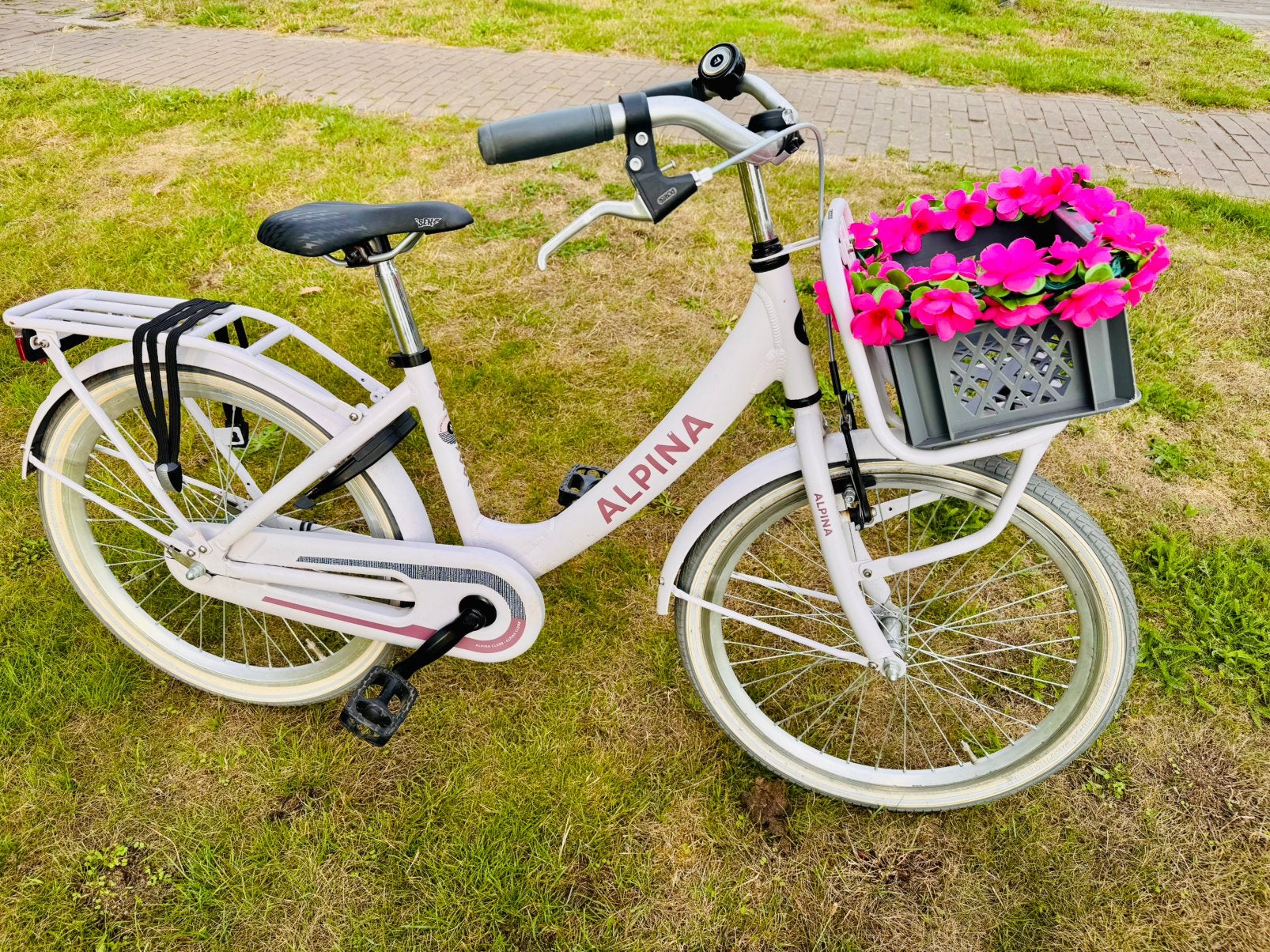 Alpina Chubb 22 inch meisjesfiets, Fietsen en Brommers, Fietsen | Dames | Damesfietsen, Terugtraprem, 50 tot 53 cm, Ophalen, Overige merken