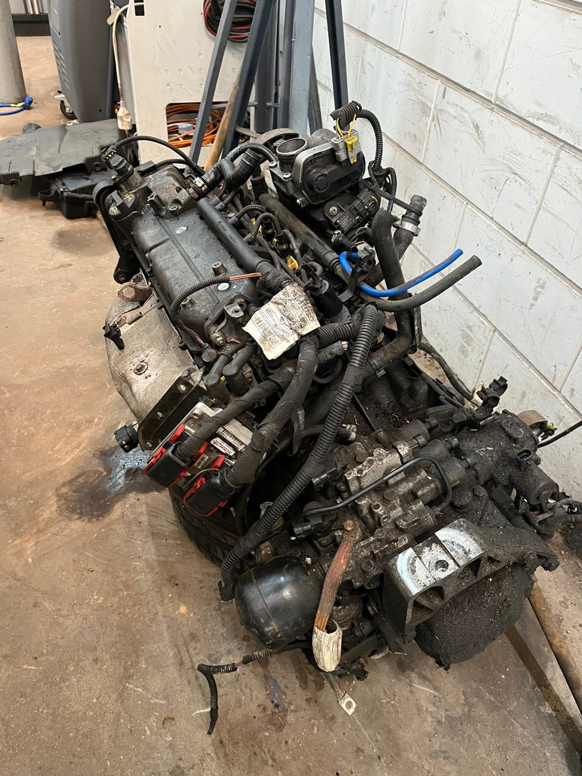 Fiat panda automaatbak met schakelrobot en Fiat motor 1.2, Ophalen, Italie, Gebruikt, Fiat