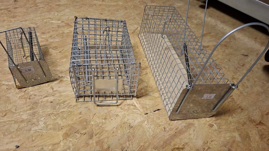 Vangkooi muizen en/of ratten, Ophalen of Verzenden, Nieuw, Overige typen