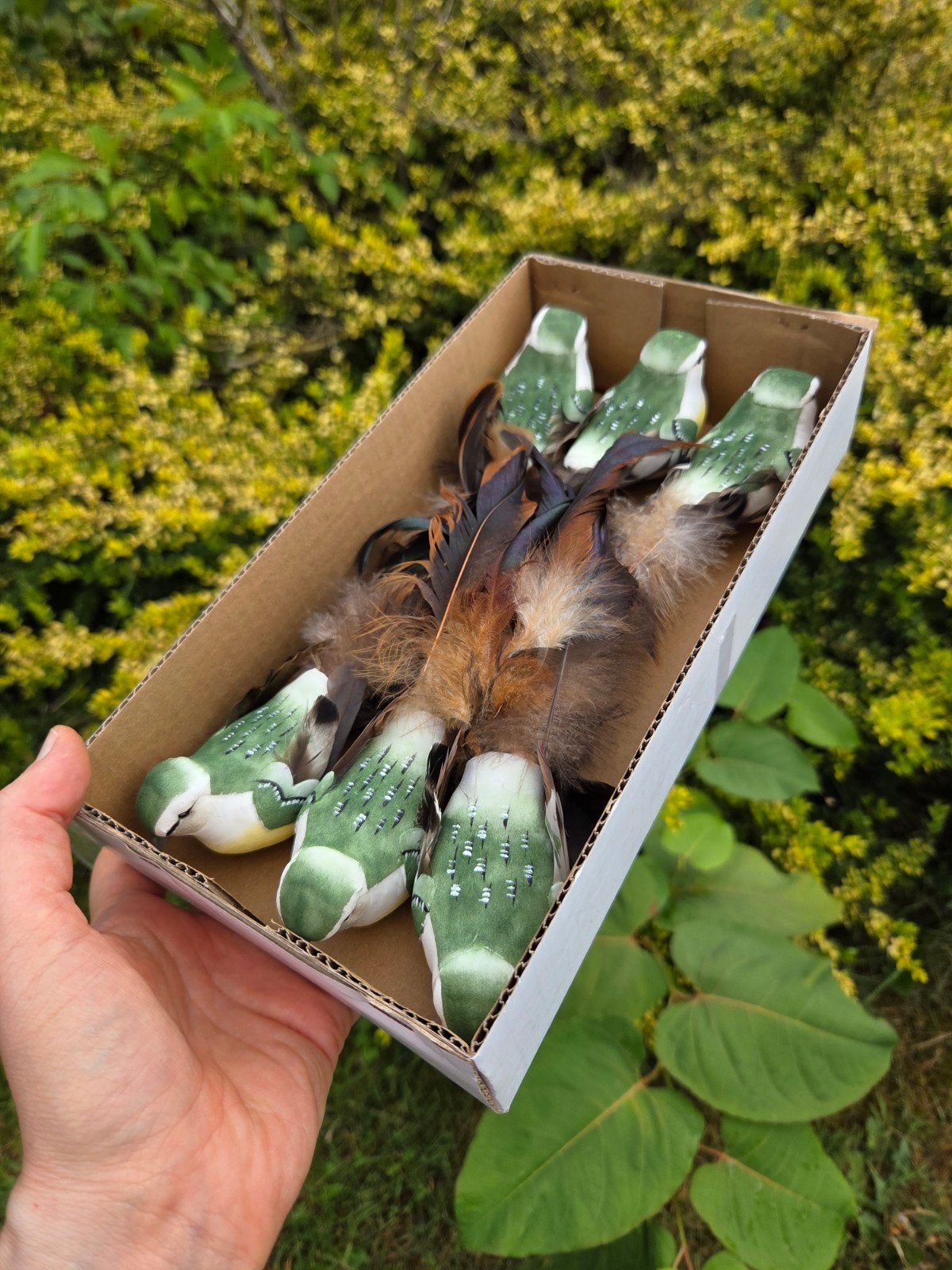 Set van 6 decoratieve vogels voor knutselen en feestjes, Verzenden