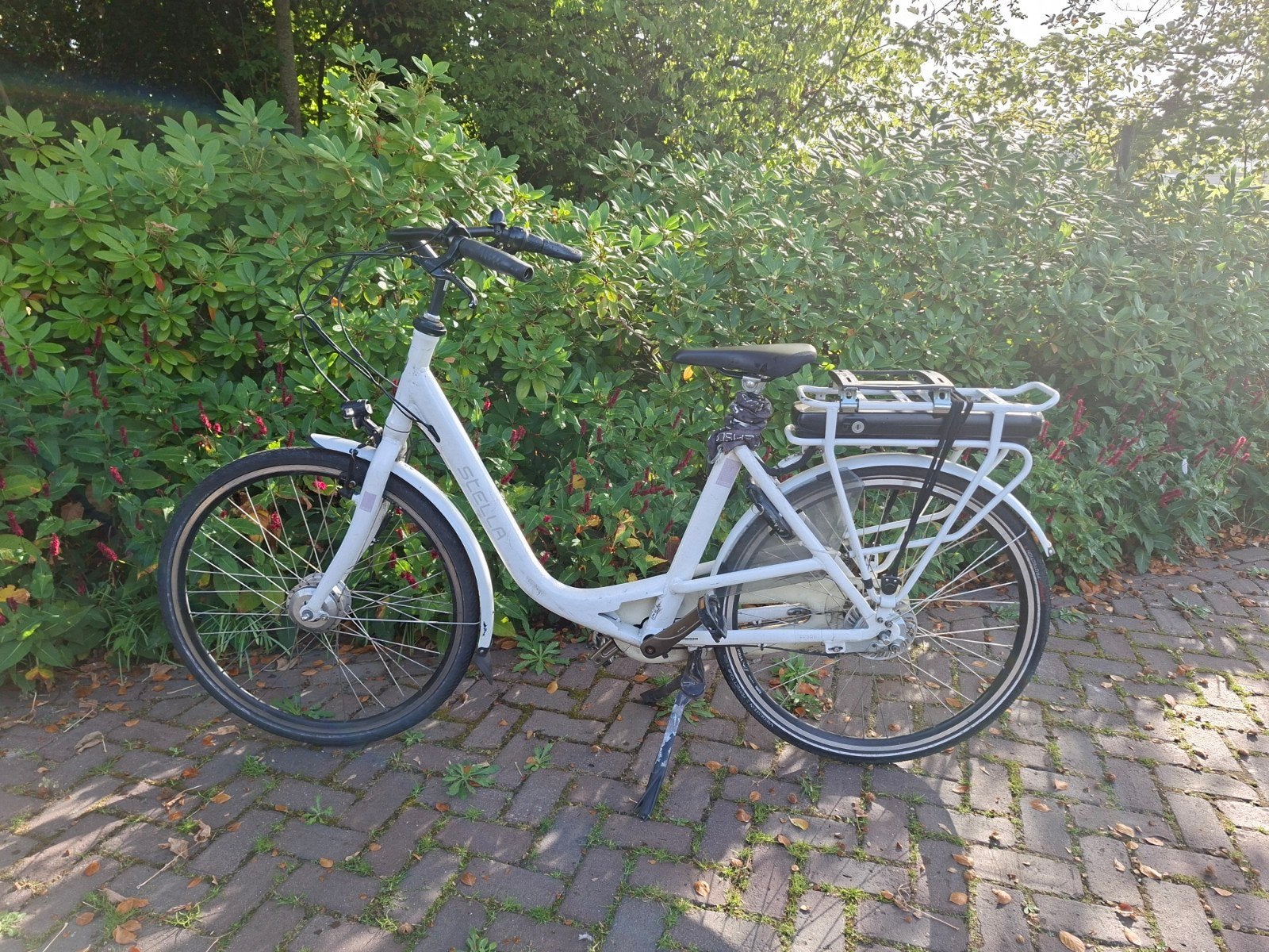 Stella Fiore Moederfiets - Ideaal voor jonge gezinnen, Gebruikt, 0 zitjes, 50 tot 53 cm, Dubbele standaard