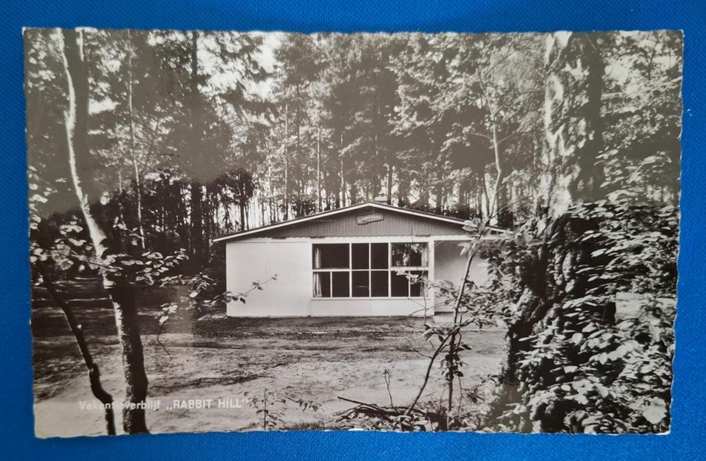 Ansichtkaart Nieuw Milligen Vakantieverblijf Rabbit Hill, Ophalen of Verzenden, Gelopen, Gelderland