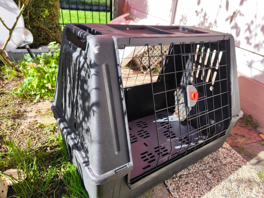 Ferplast honden transport box atlas car senic 80, Dieren en Toebehoren, Ophalen of Verzenden