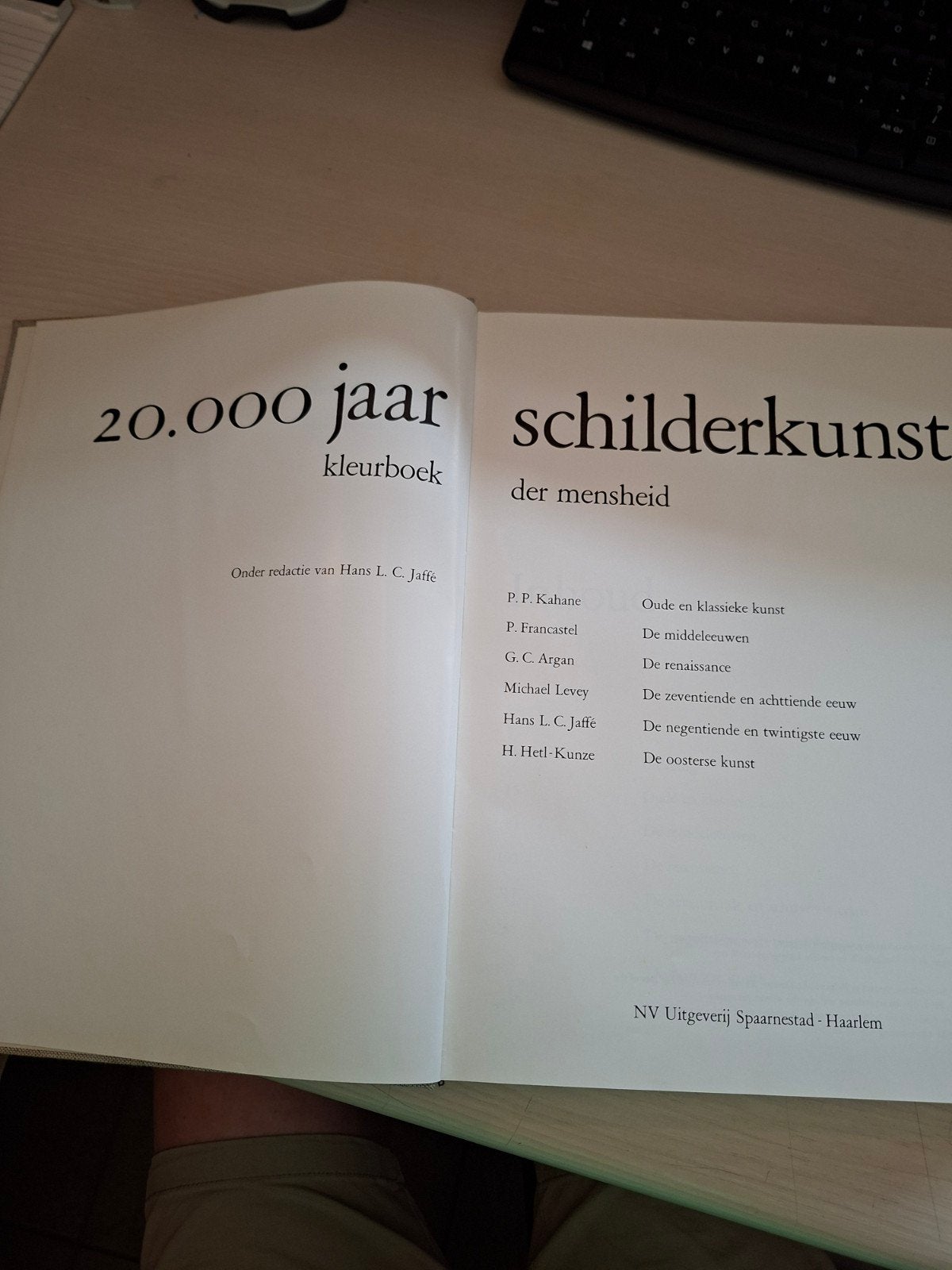 20.000 Jaar Schilderkunst der Mensheid - Kunstboek, Ophalen of Verzenden, Zo goed als nieuw, Schilder- en Tekenkunst, Hans L.C. Jaffé (redactie)