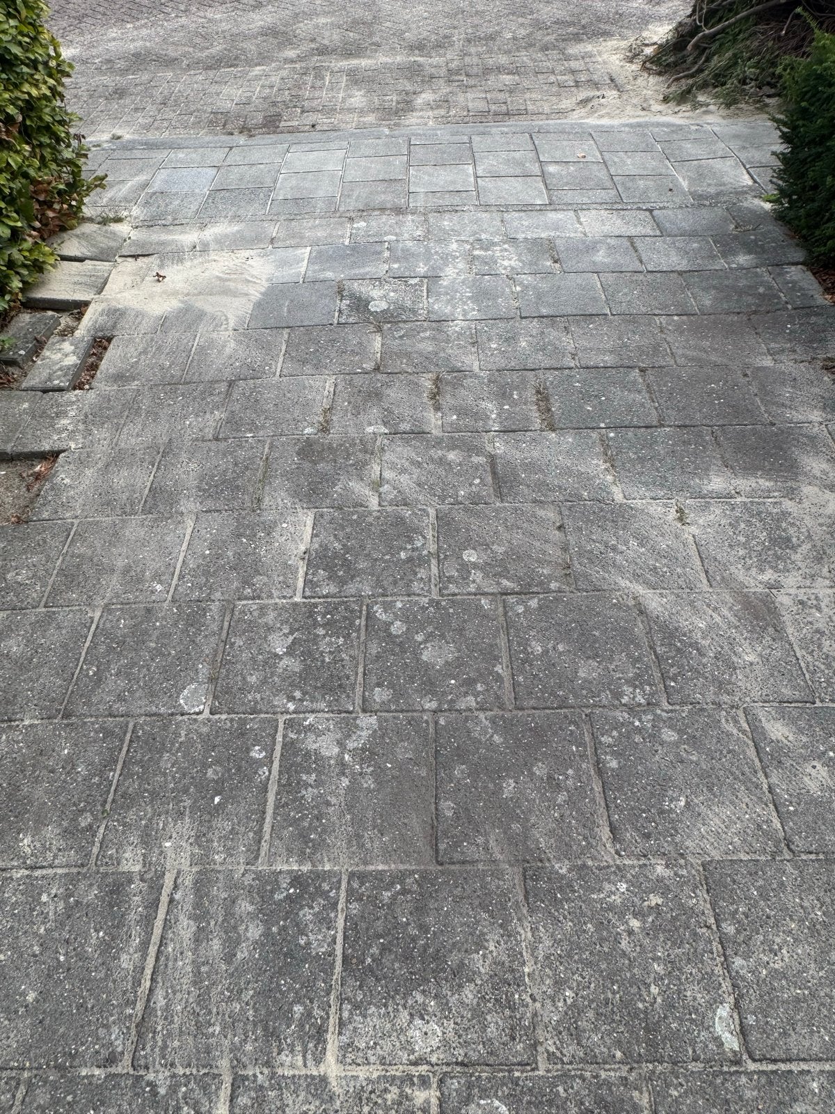 20x20 stoeptegels gratis af te halen, Ophalen, Gebruikt, 10 m² of meer, Beton