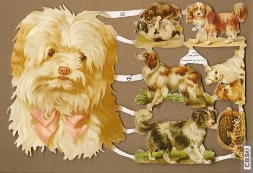 Grote met kleine honden poëzieplaatjes 7070, Verzamelen, Poesieplaatjes, Ophalen of Verzenden