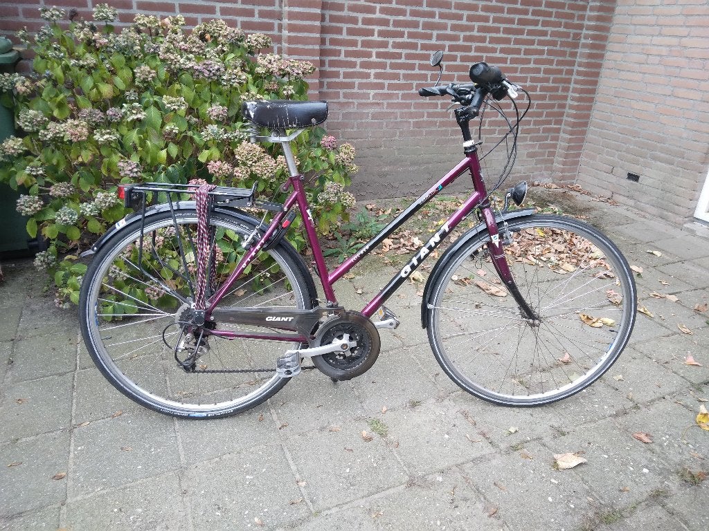 damesfiets, Ophalen, Velgrem, Giant, 53 tot 56 cm
