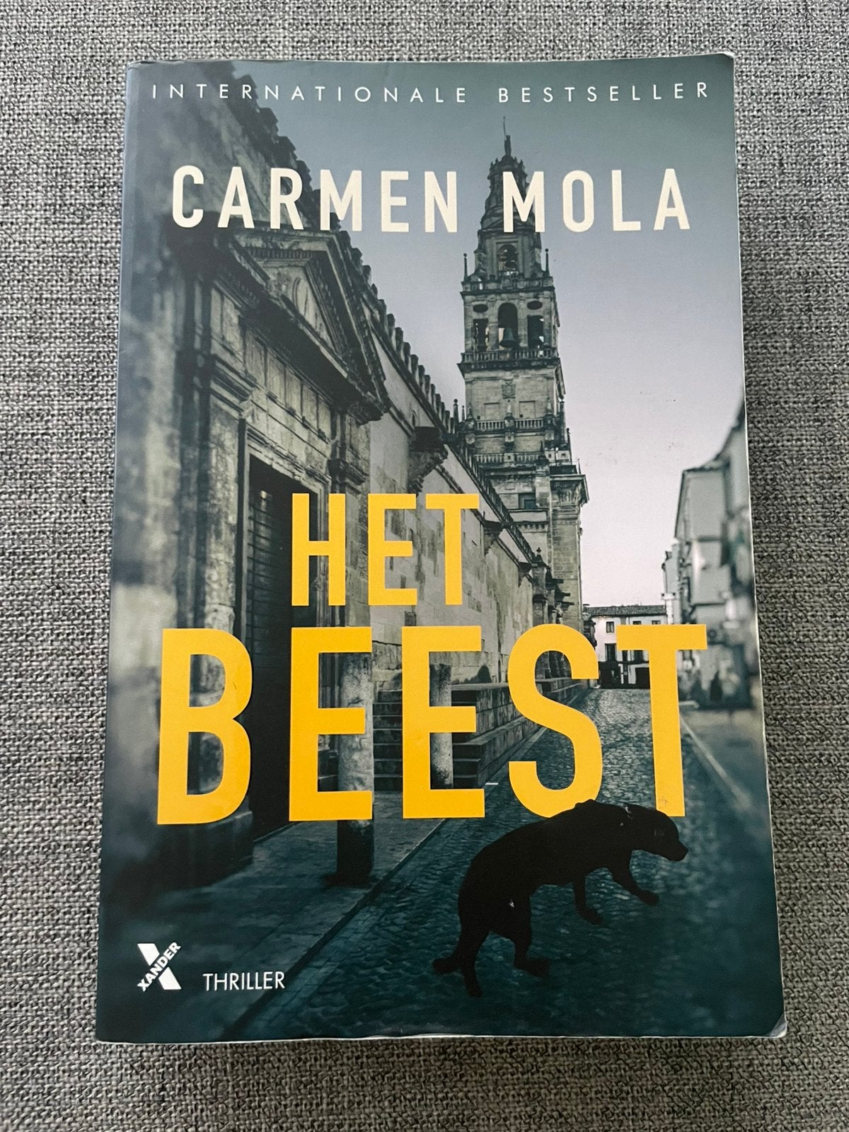 Het Beest - Carmen Mola, Boeken, Ophalen of Verzenden, Zo goed als nieuw, Nederland