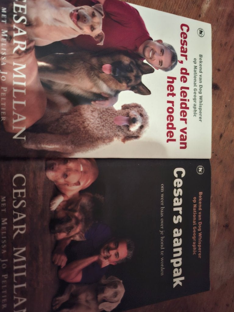 Boeken Cesar Millan, Ophalen of Verzenden, Honden, Cesar Millan