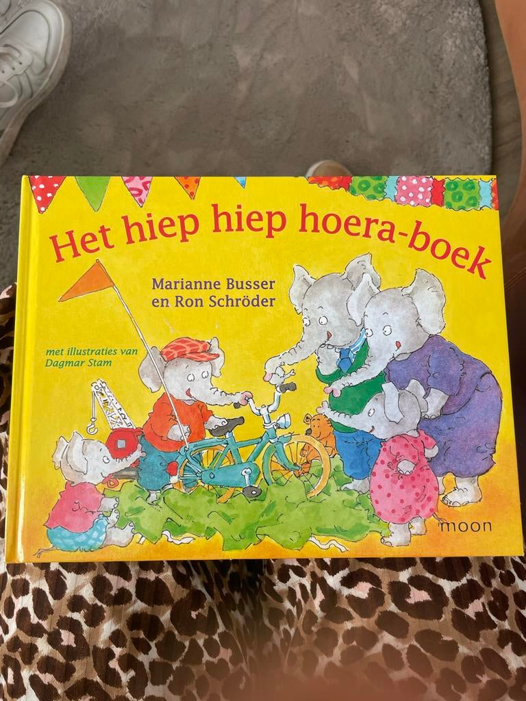 Het Hiep Hiep Hoera-boek - Marianne Busser & Ron Schröder, Ophalen of Verzenden, Gelezen, Fictie algemeen