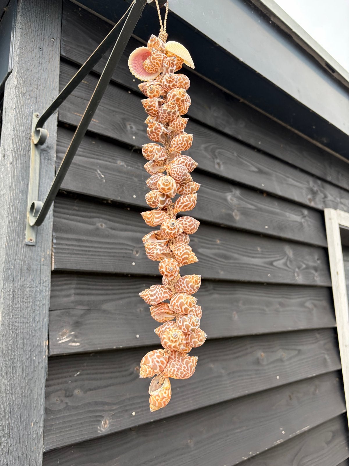 Decoratieve Schelpenhanger - Natuurlijke Woondecoratie, Huis en Inrichting, Meerkleurig, Overige stijlen, Ophalen of Verzenden