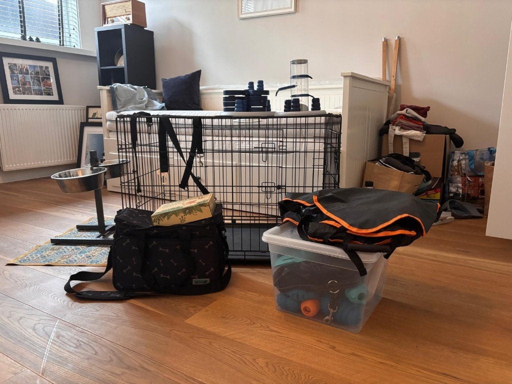 Hondenspullen grote hond, Dieren en Toebehoren, Honden-accessoires, Ophalen, Zo goed als nieuw