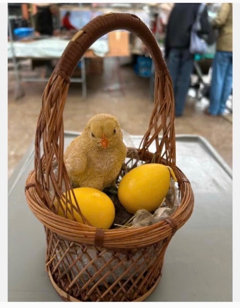 Schattig mandje met stenen kuiken en twee eieren, Ophalen of Verzenden