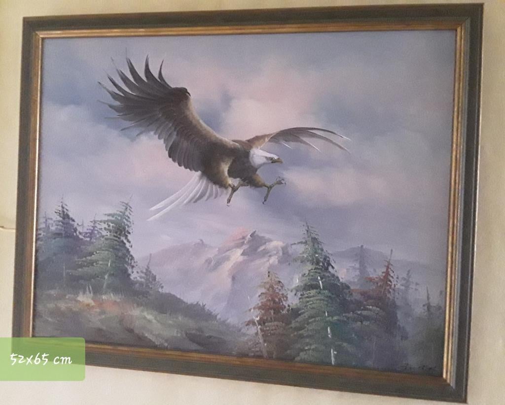 ADELAAR BOVEN LANDSCHAP, Ophalen of Verzenden