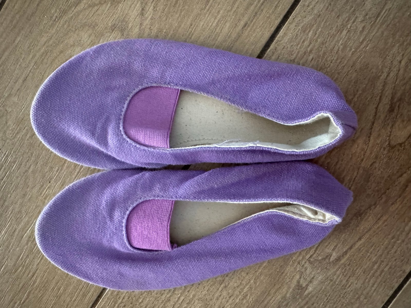 Paarse euritmietjes maat 27 - Gebruikt en intact, Ophalen of Verzenden, Gebruikt, Jongen of Meisje, Schoenen