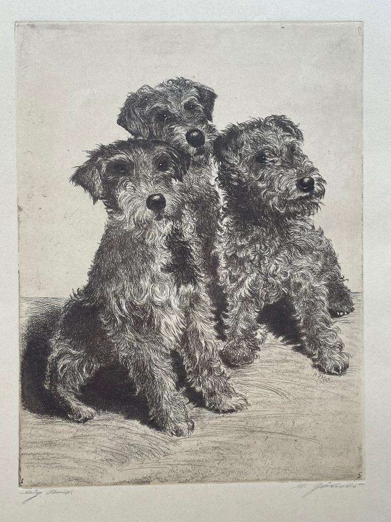 Ets van drie Terriër pups, Antiek en Kunst, Kunst | Etsen en Gravures, Ets, Gesigneerd, Ingelijst, Portret, 1950 - 1999, Ophalen of Verzenden
