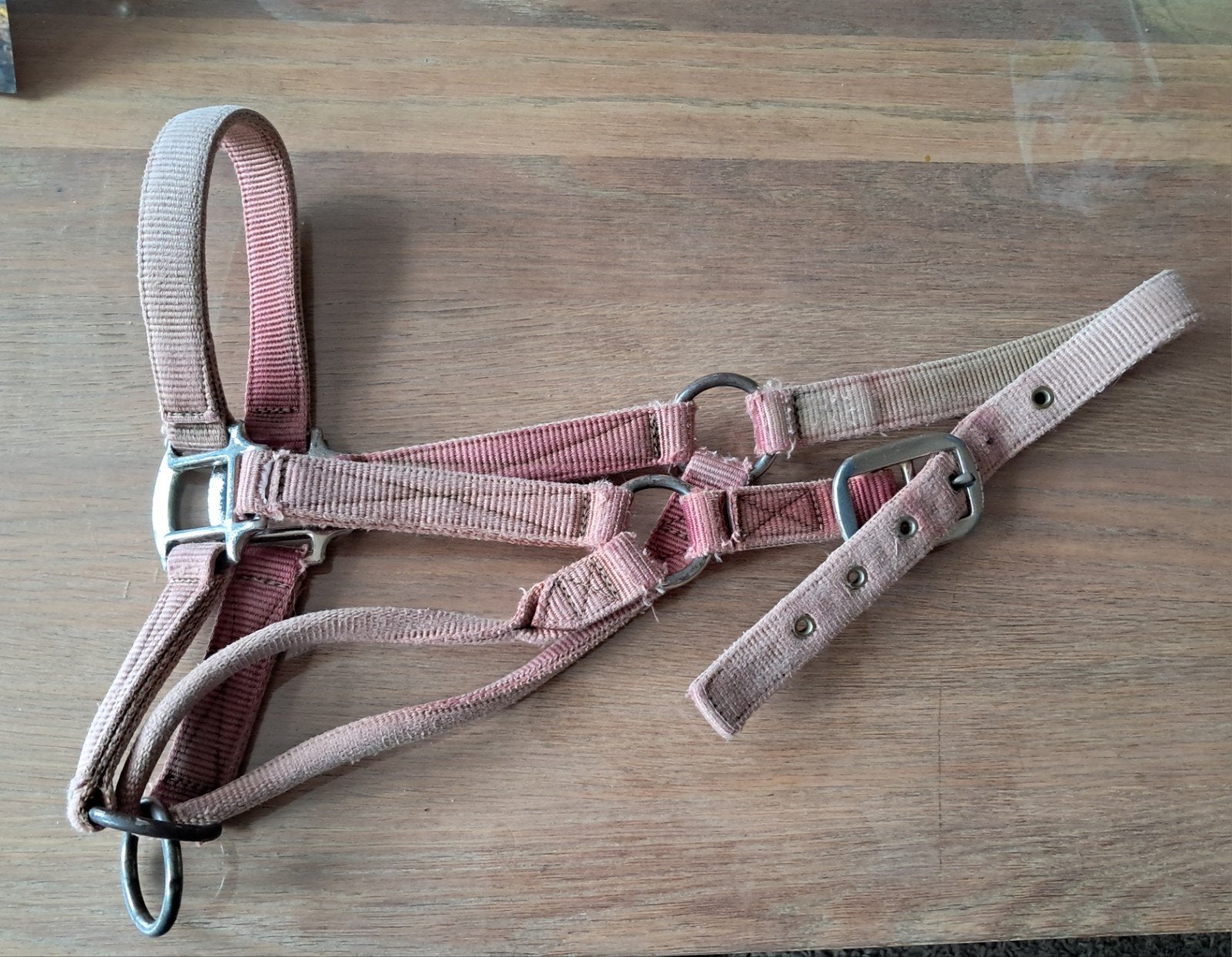 2x oud hang halster, correctie halster

Tegen verzendkosten, Ophalen of Verzenden, Overige soorten