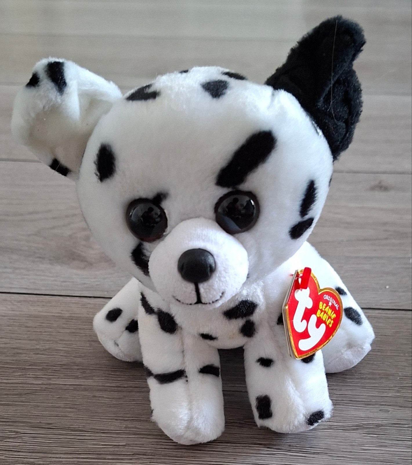 ty beanie boo hondje Spencer 16 cm, Overige karakters, Zo goed als nieuw, Meerkleurig, Klein (minder dan 20 cm)