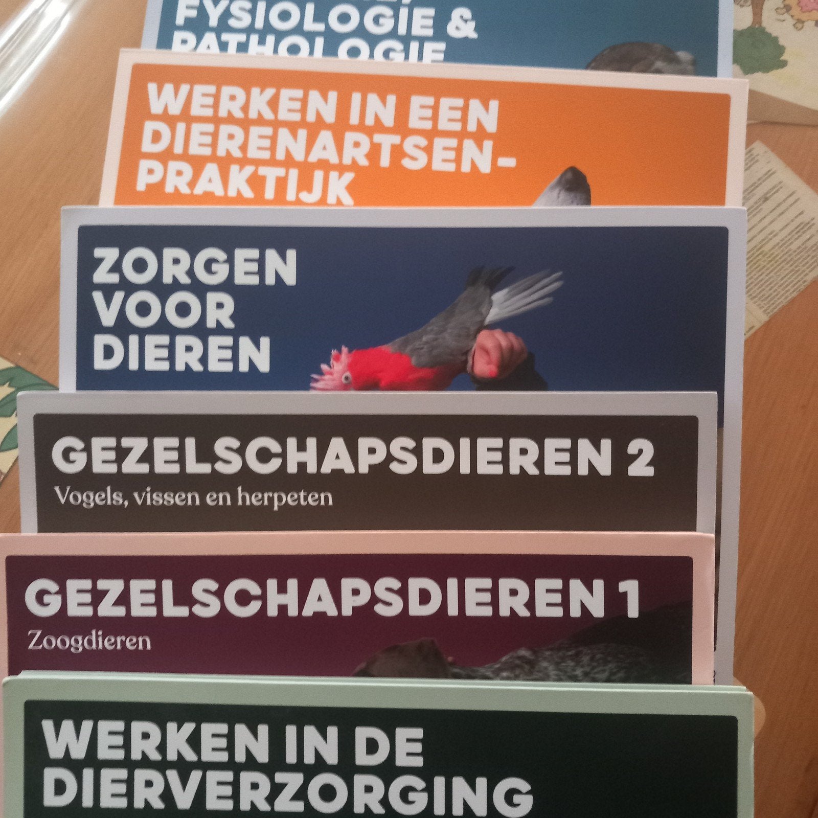 Opleiding paraveterinair MBO, Boeken, Ophalen of Verzenden, Zo goed als nieuw, MBO, Animalis