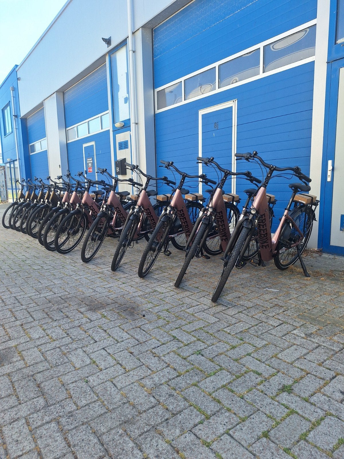 Splinternieuwe electrische fietsen, Freebike Melrose, Ophalen of Verzenden, Nieuw