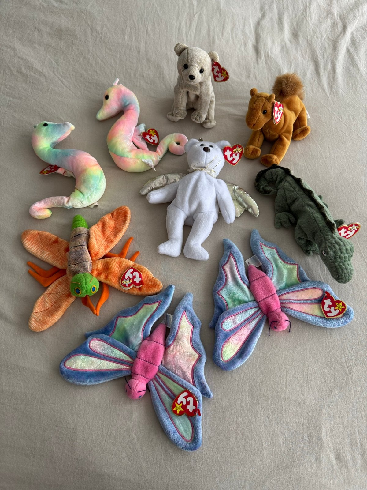 Grote collectie Ty Beanie Babies knuffels, Overige typen, Nieuw, Ophalen of Verzenden, Met label