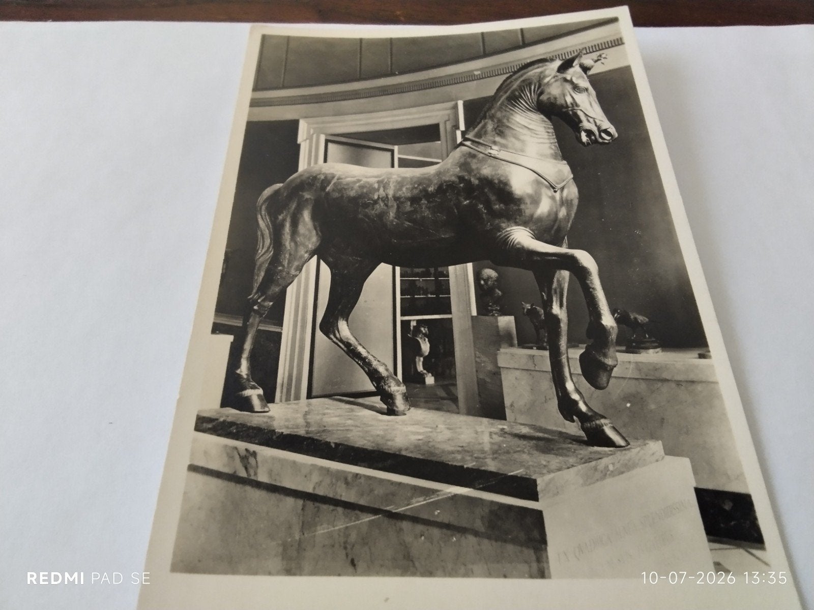 Oude foto: Bronzen paard, Nationaal Museum Napels, Ophalen of Verzenden, Voor 1940