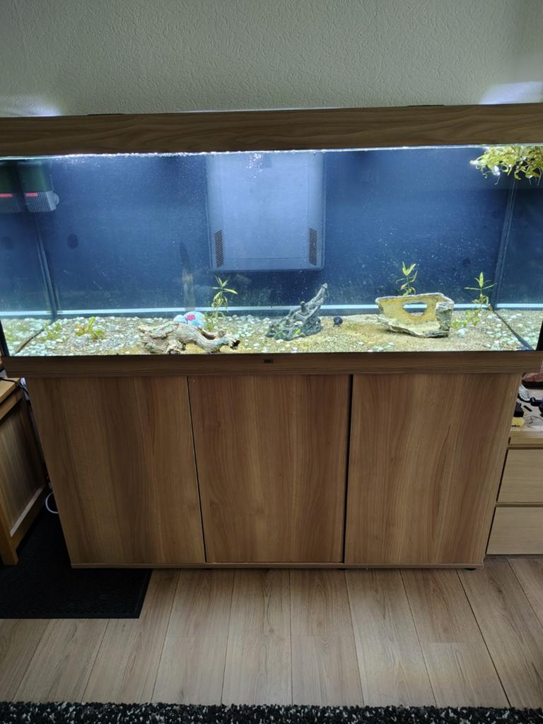 Juwel rio 450 led, Dieren en Toebehoren, Vissen | Aquaria en Toebehoren, Ophalen, Zo goed als nieuw, Leeg aquarium