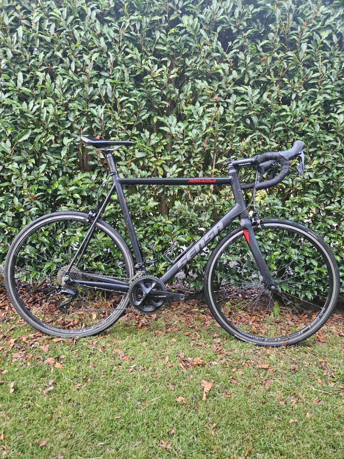 Sensa Romagna racefiets Shimano 105, framemaat 64, 28 inch, Gebruikt, Velgrem, 61 tot 65 cm
