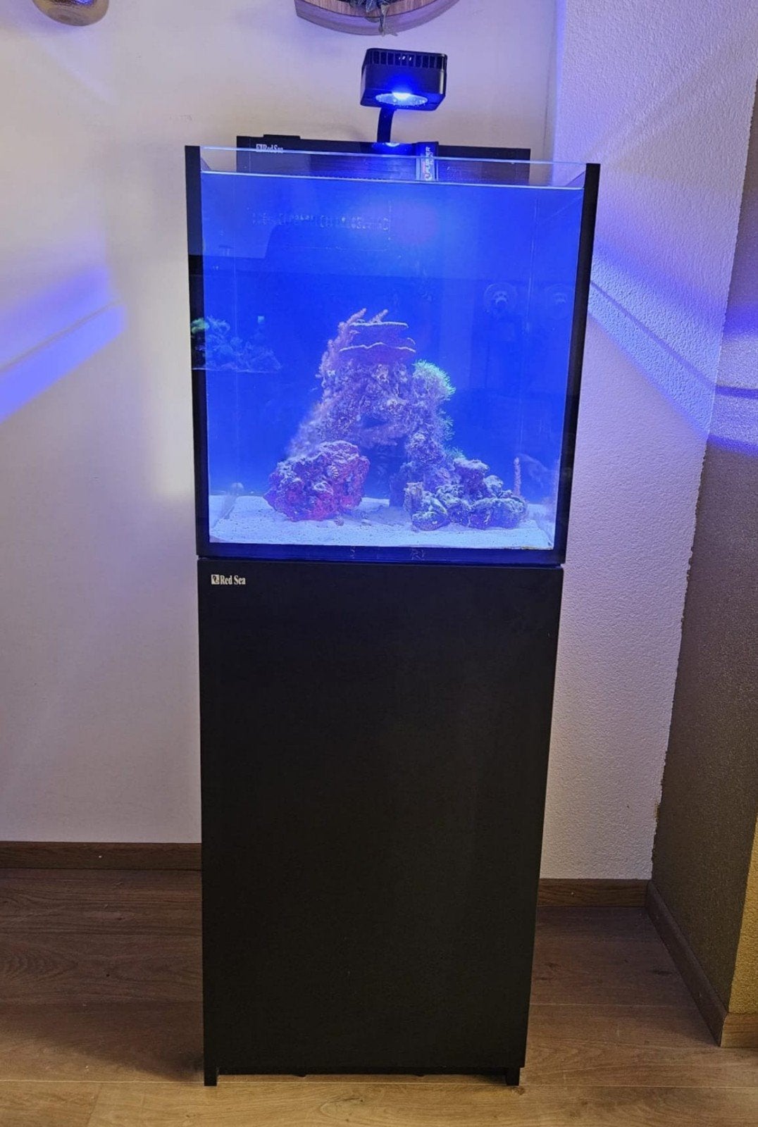 red sea nano xl g2 zeeaquarium, Dieren en Toebehoren, Vissen | Aquaria en Toebehoren, Ophalen, Gevuld zeewateraquarium, Zo goed als nieuw