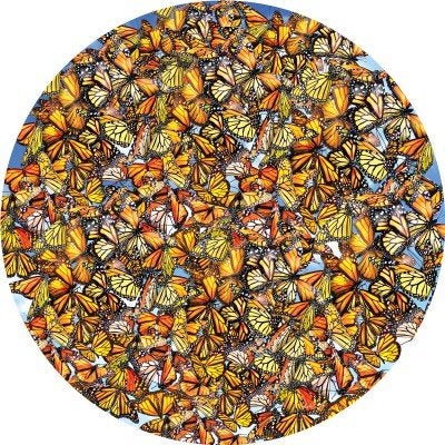 SunsOut - Monarch Frenzy - 1000 stukjes, Ophalen of Verzenden, 500 t/m 1500 stukjes, Nieuw, Legpuzzel