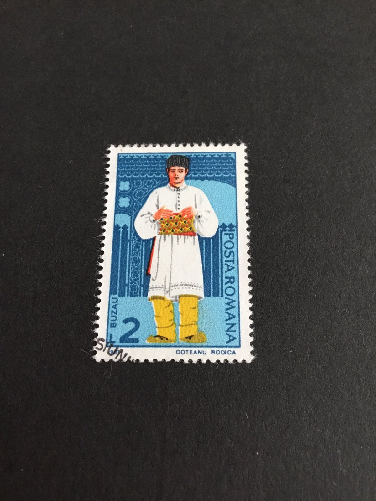 Roemenië Buzau uit 1987, Ophalen of Verzenden, Gestempeld, Overige thema's