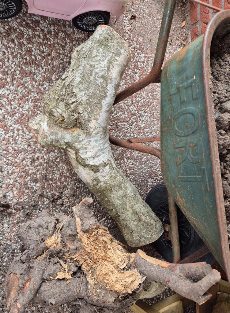 Hout over - gratis ophalen, Tuin en Terras, Haardhout, Minder dan 3 m³, Ophalen