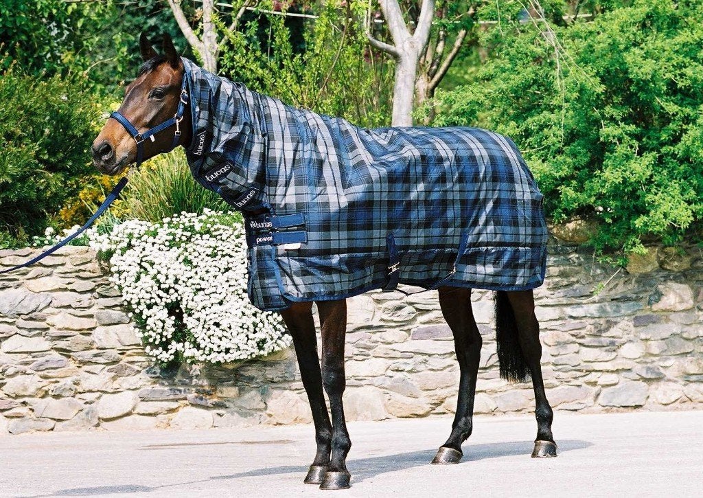 Bucas Celtic Stable Extra Deken+neck, Bucas, Afneembare hals, 300 g, Ophalen of Verzenden