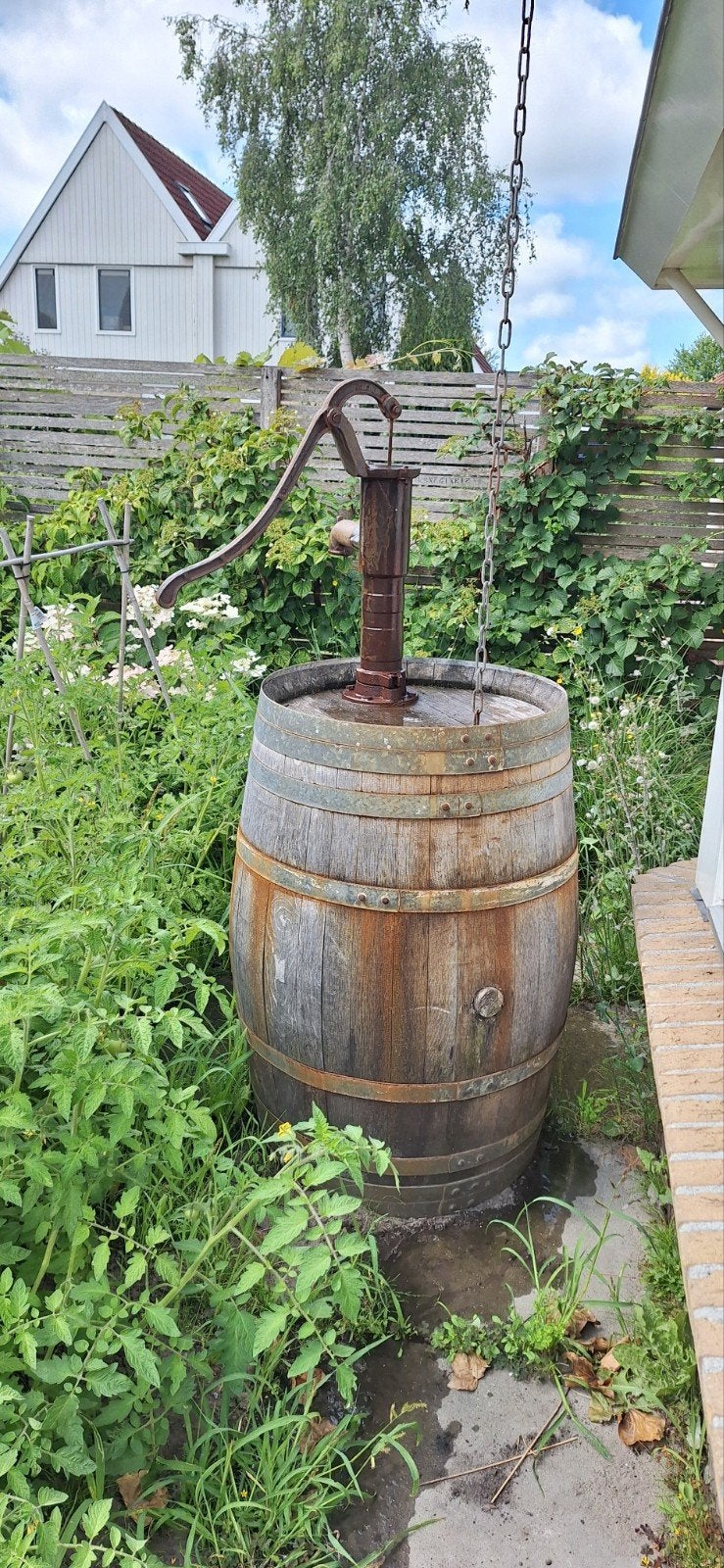 Regenton met pomp - Houten vat voor regenwater, Ophalen, Gebruikt, 150 liter of meer, Met pomp