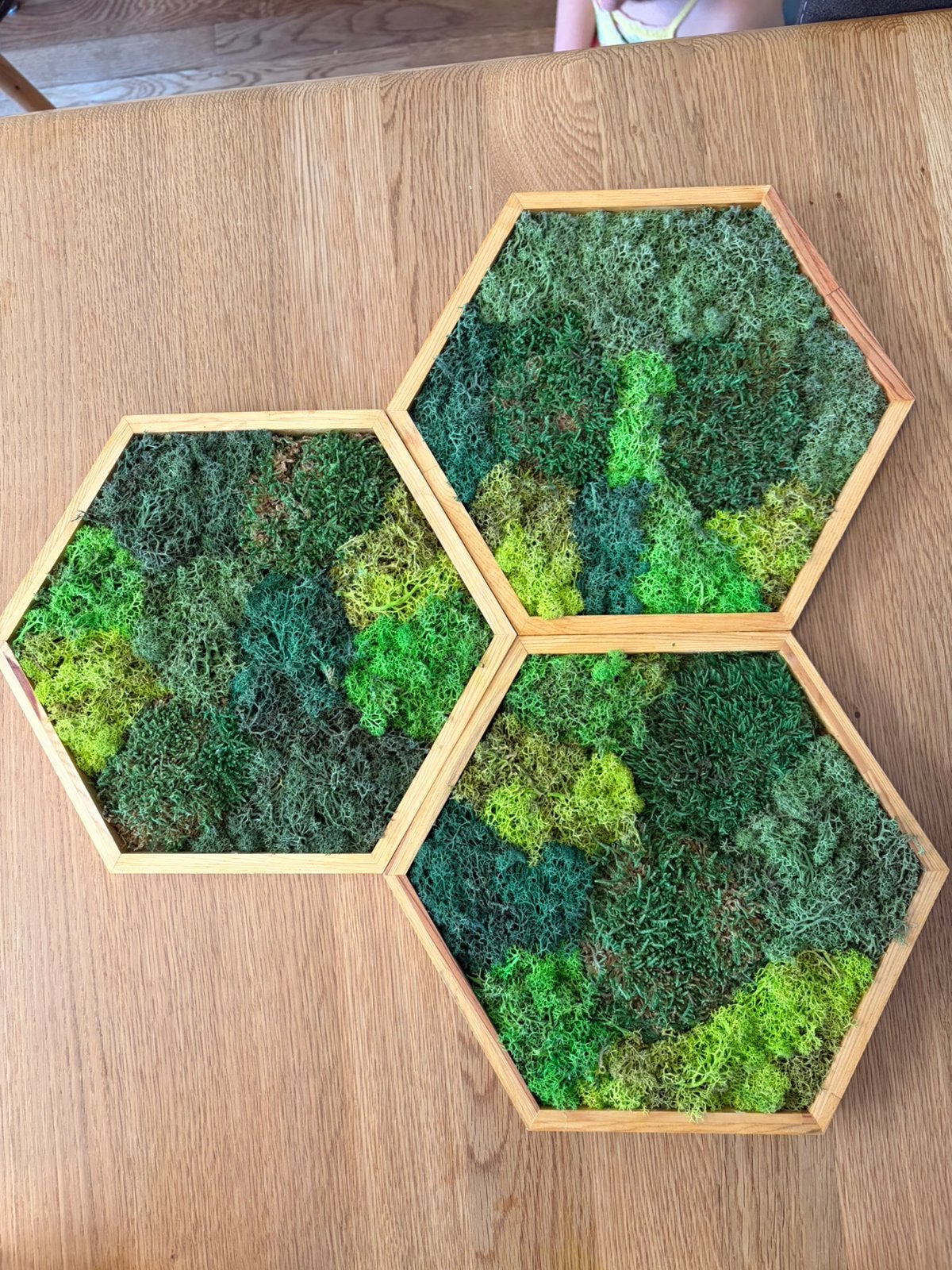 Schilderijtjes nep mos, Huis en Inrichting, Ophalen of Verzenden, Zo goed als nieuw, Minder dan 50 cm, Schilderij