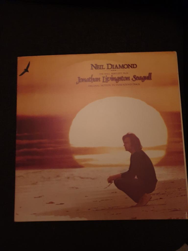 Neil Diamond - Jonathan Livingston Seagull LP, Ophalen of Verzenden, Gebruikt, 12 inch