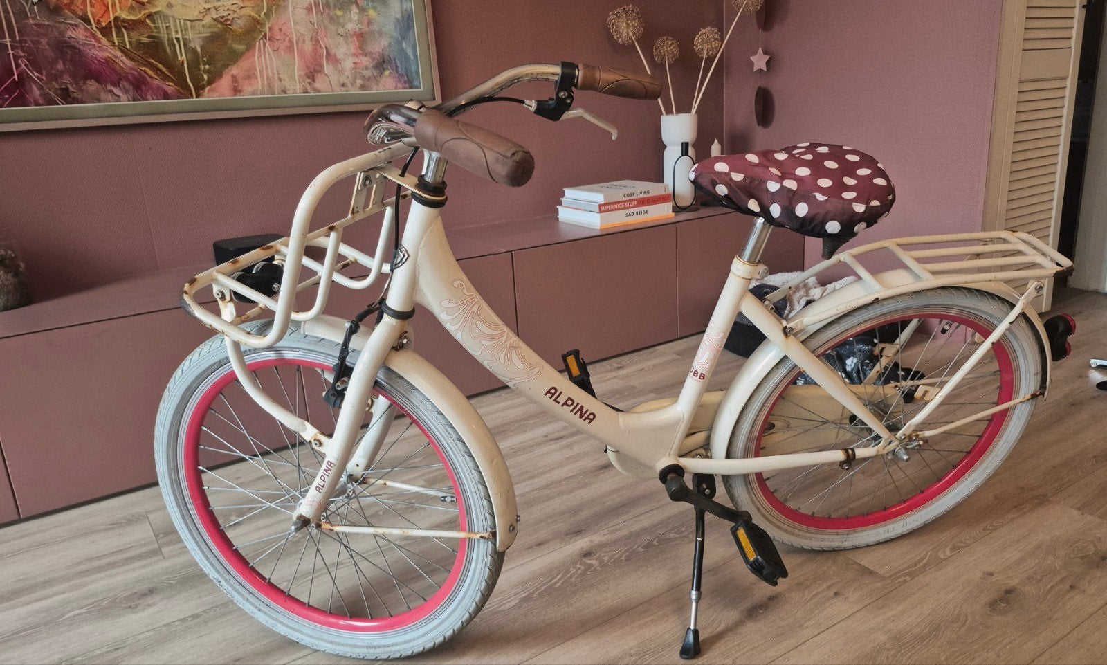Alpina kinderfiets 20 inch met voordrager, Ophalen, Terugtraprem, Gebruikt, Alpina